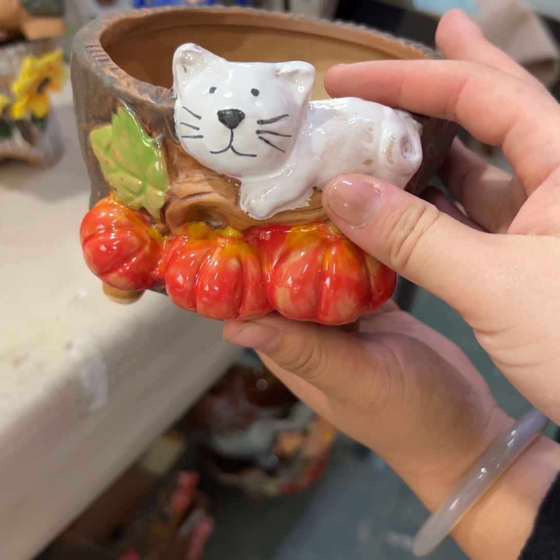 满20米秒退拉黑多肉花盆