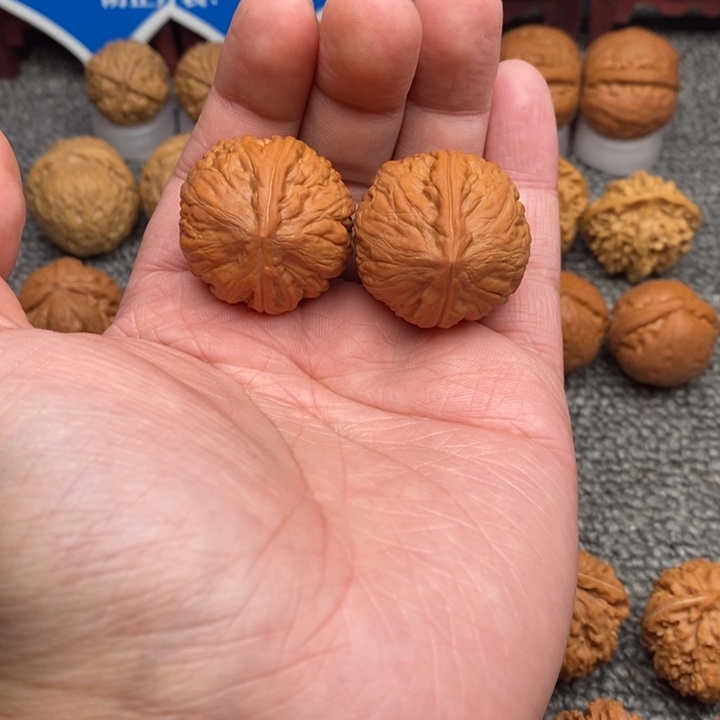 文玩核桃把件烨*…………