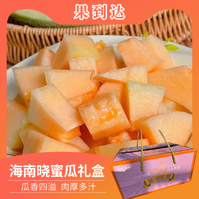 【礼盒】海南晓蜜瓜礼盒 一箱2粒净重 5.5-6斤