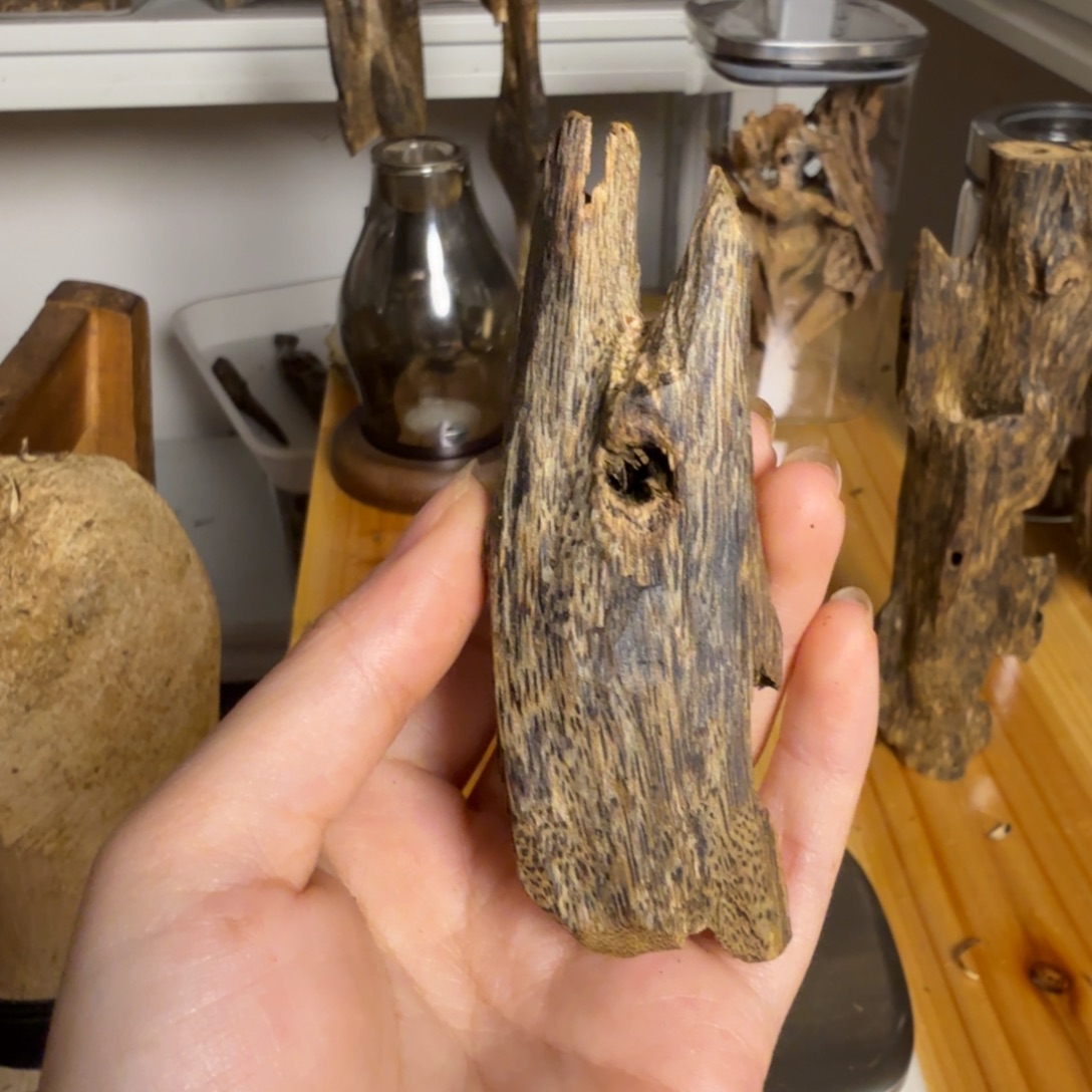 沉香白奇虫漏香13克