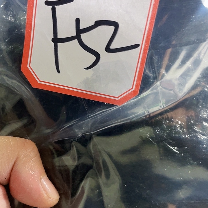 T***1蛇纹石玉未镶嵌纯天然岫玉