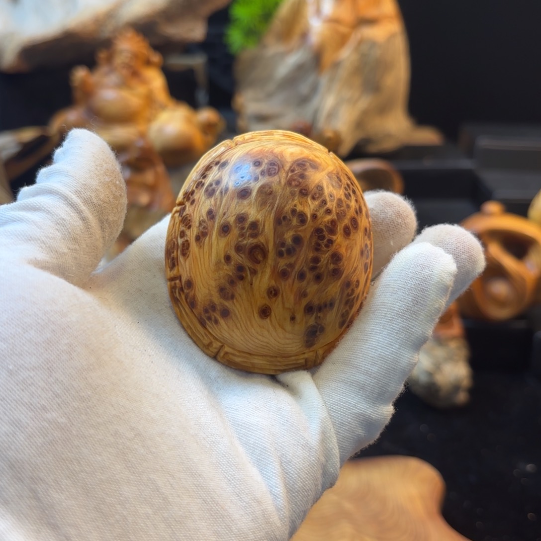 徐***～柏木111111111111