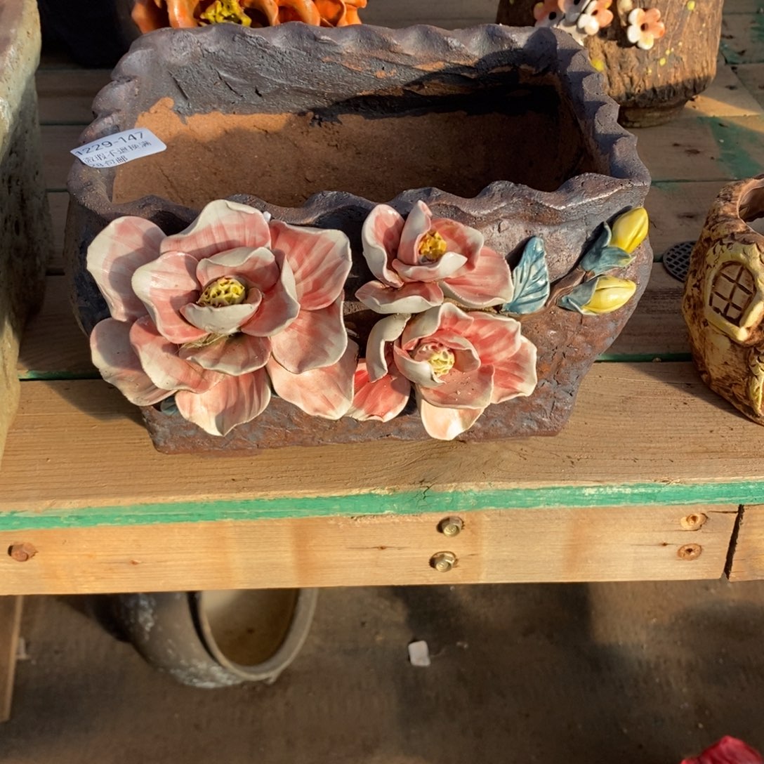 问***墨147号多肉盆口径18