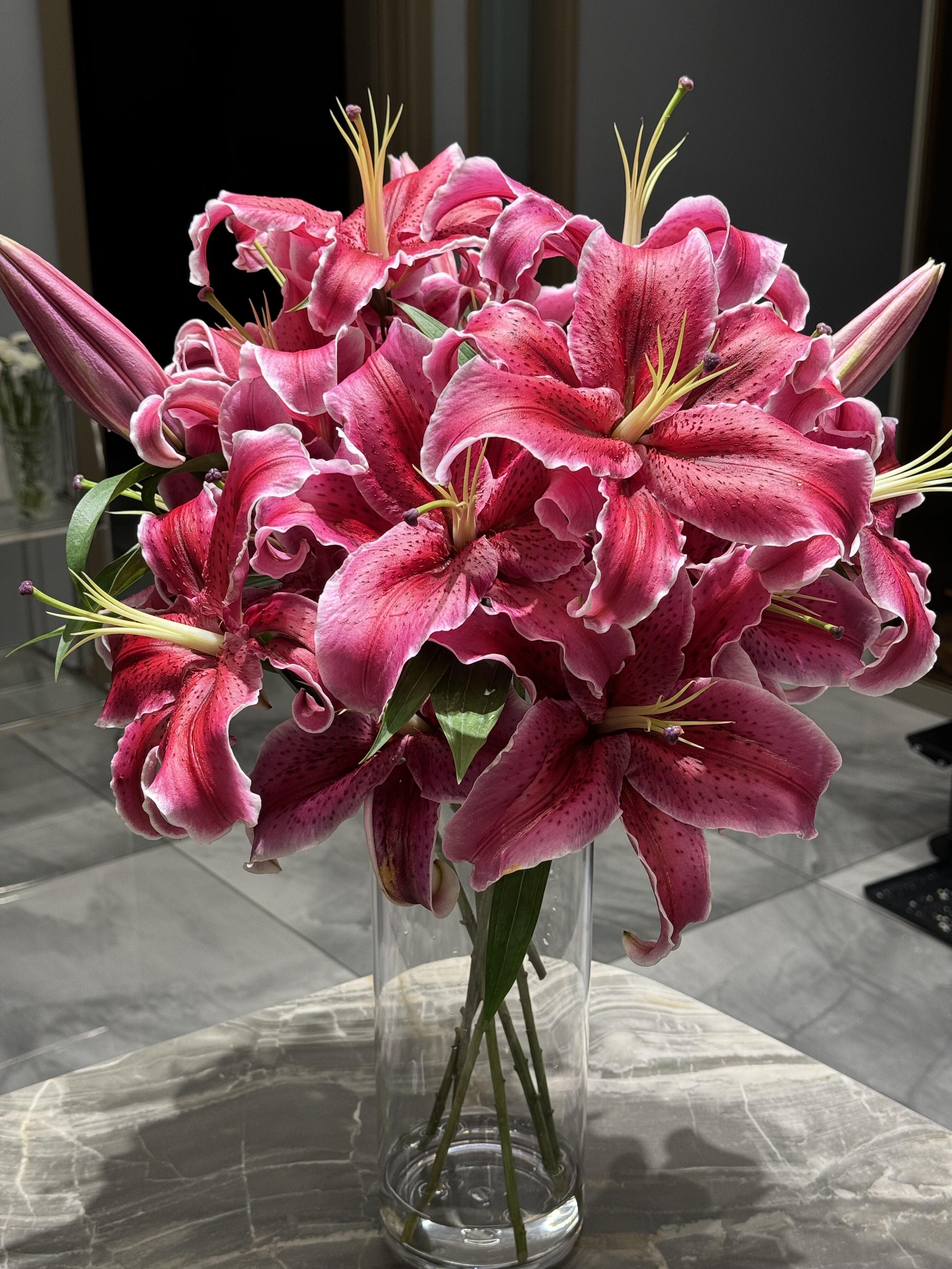 黑美人香水百合一头   粉色百合 云南基地鲜花   水养家养