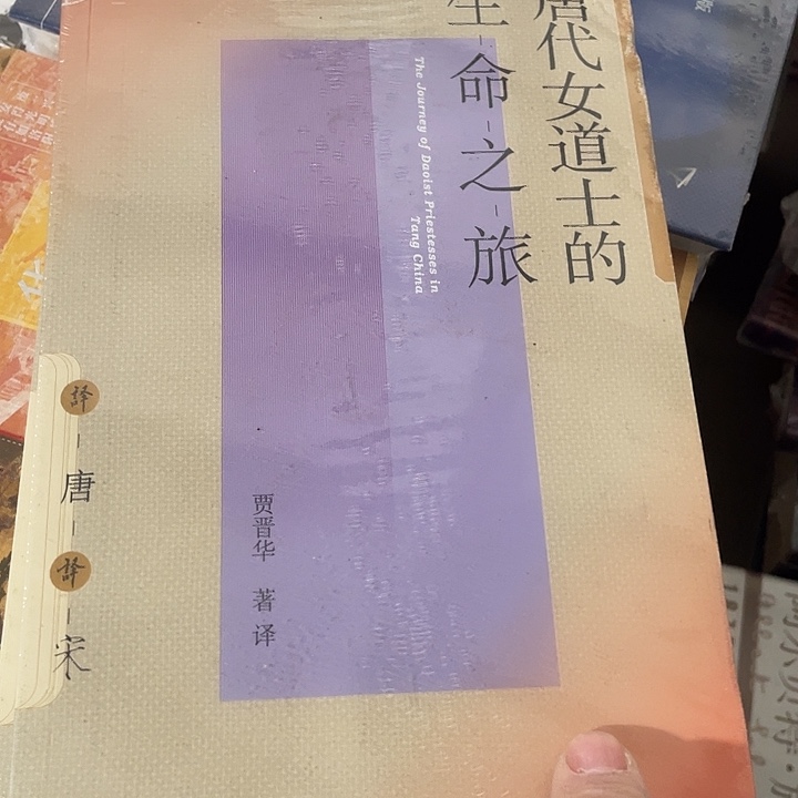 唐代的女道士微瑕微瑕