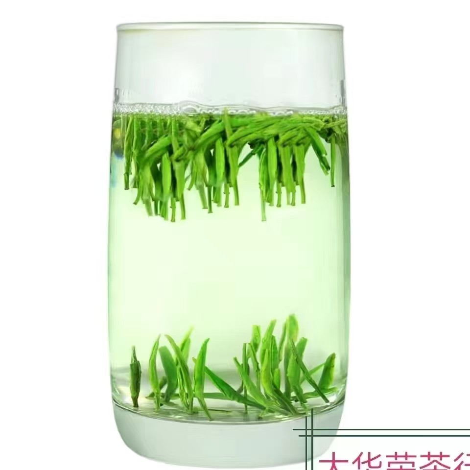 九涧春绿茶明前嫩芽高山云雾茶叶春茶站立茶叶