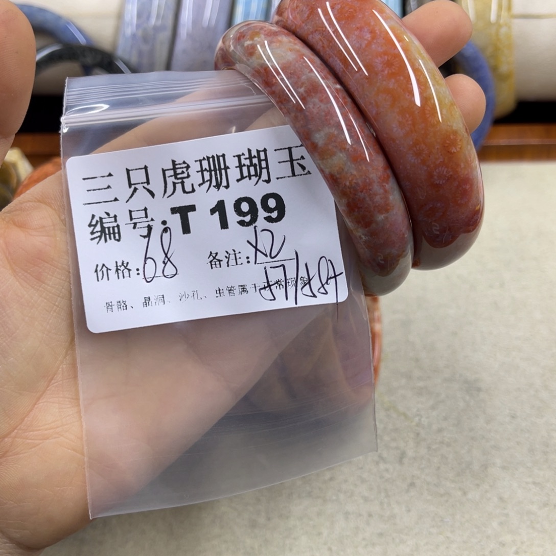 锅****硅化珊瑚（珊瑚玉）未镶嵌h