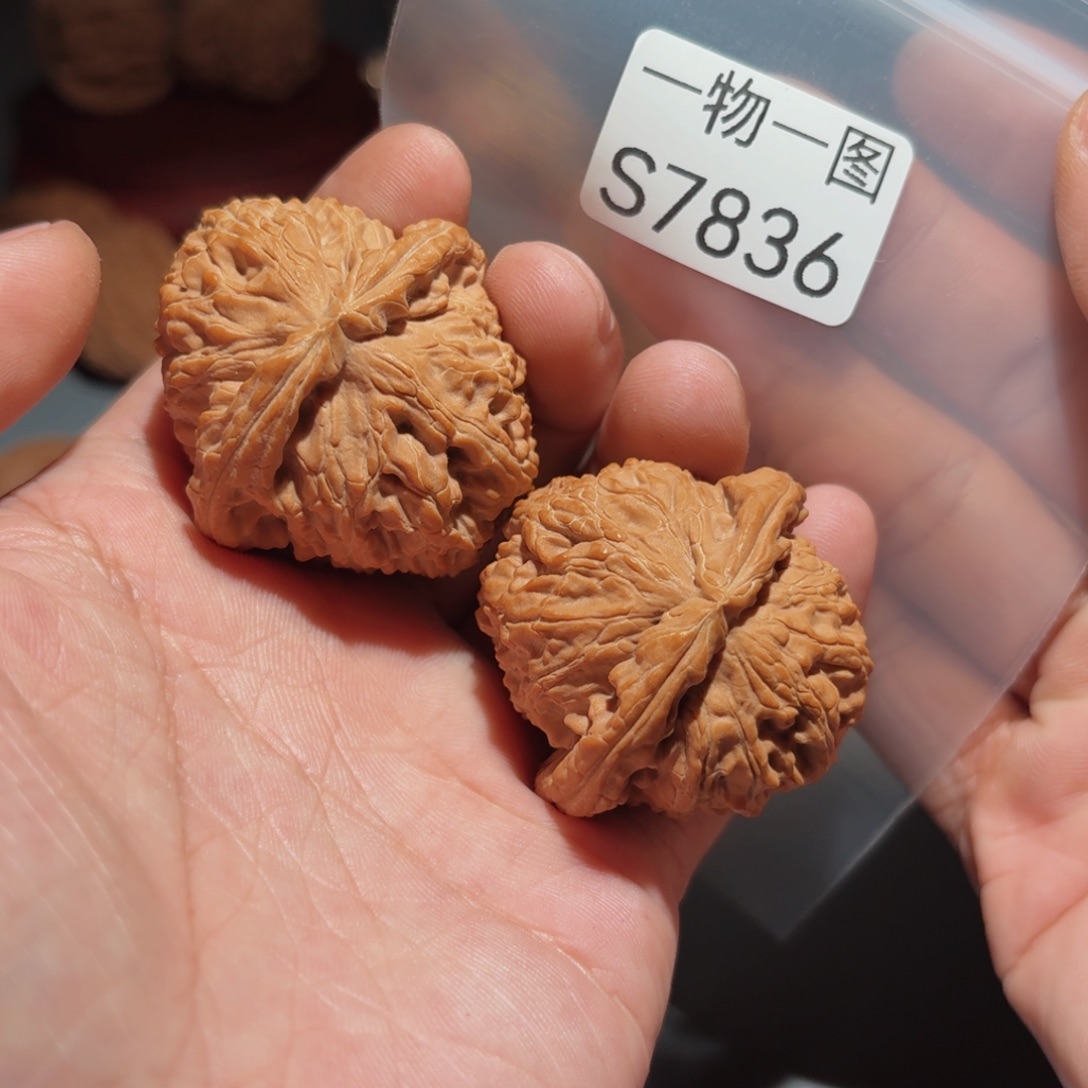 把件文玩核桃白狮子