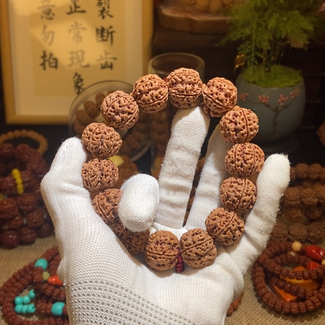 金刚菩提吊坠215原籽