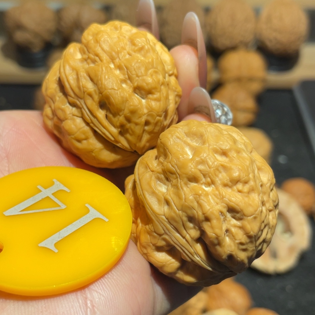 金蟾疙瘩包核桃36