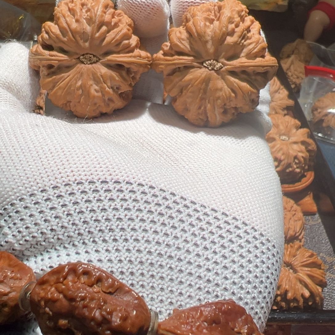 文玩核桃把件王*子粗筋