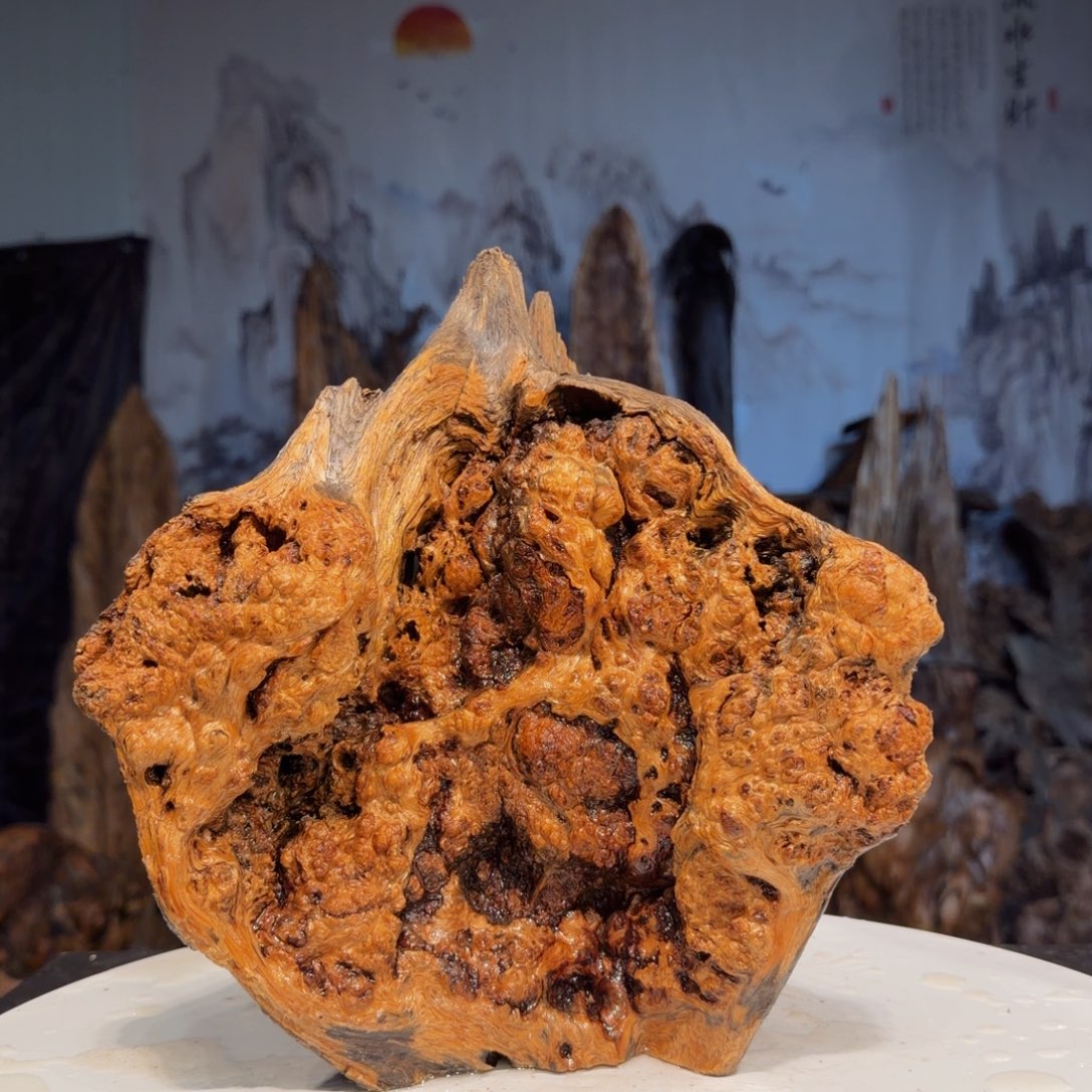 梧***桐木三丰琥珀木 天然摆件14