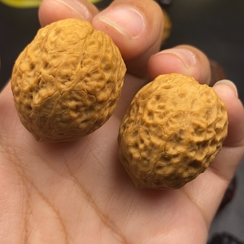 文玩核桃把件M*N36尺蛇皮元宝