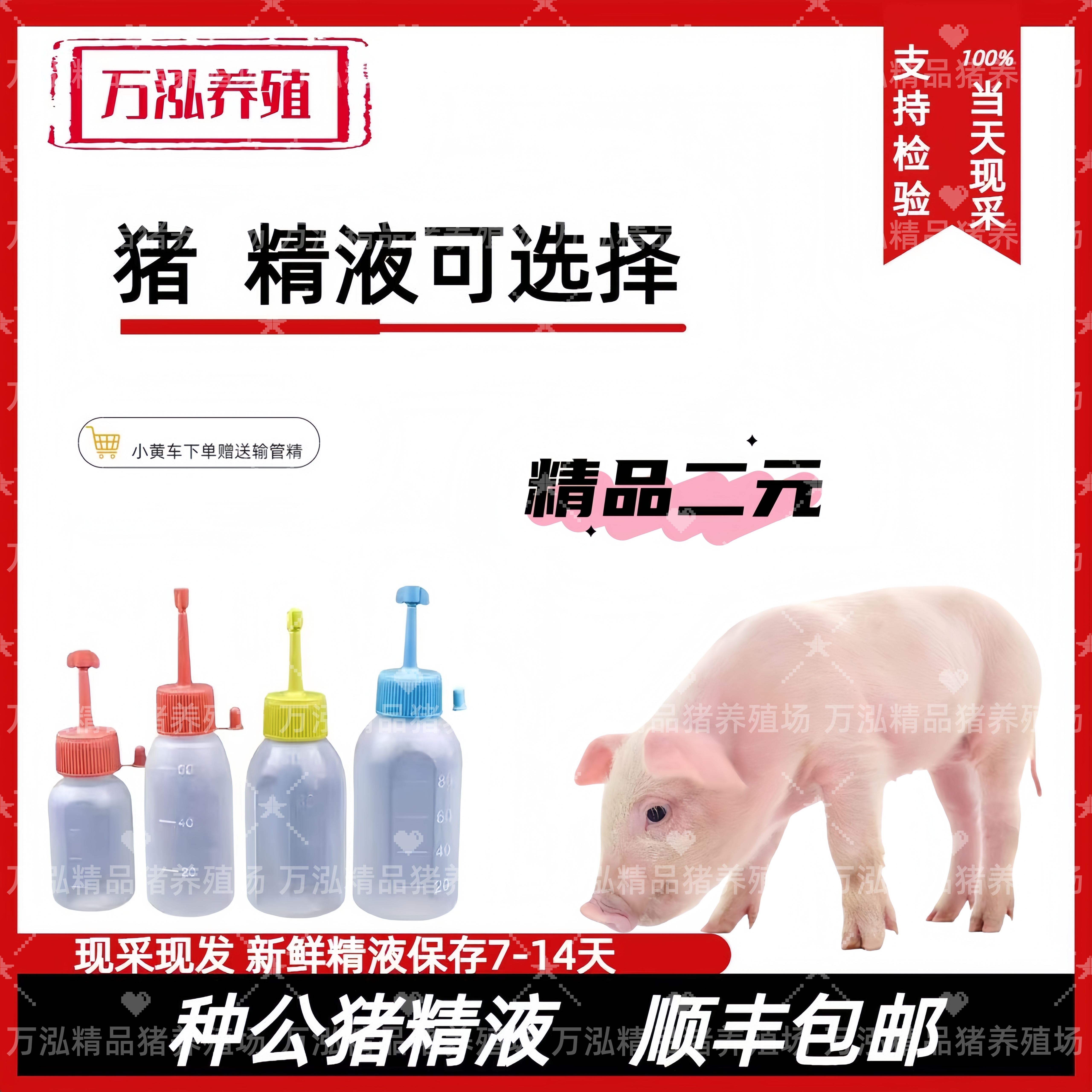 二元三元种公精液一件包邮包对版生态养殖批发输精管猪用耗材