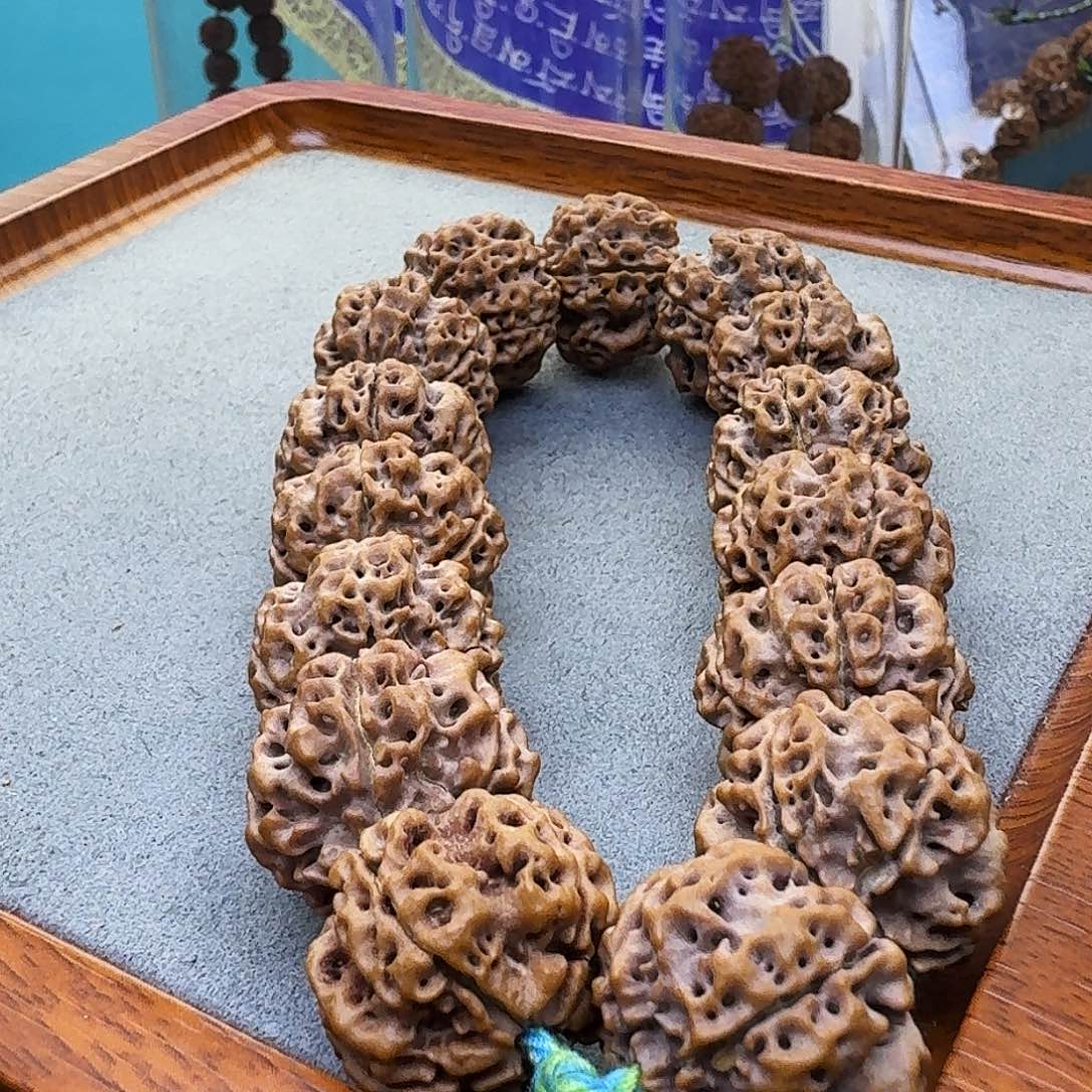 金刚菩提手串铁籽蜂王