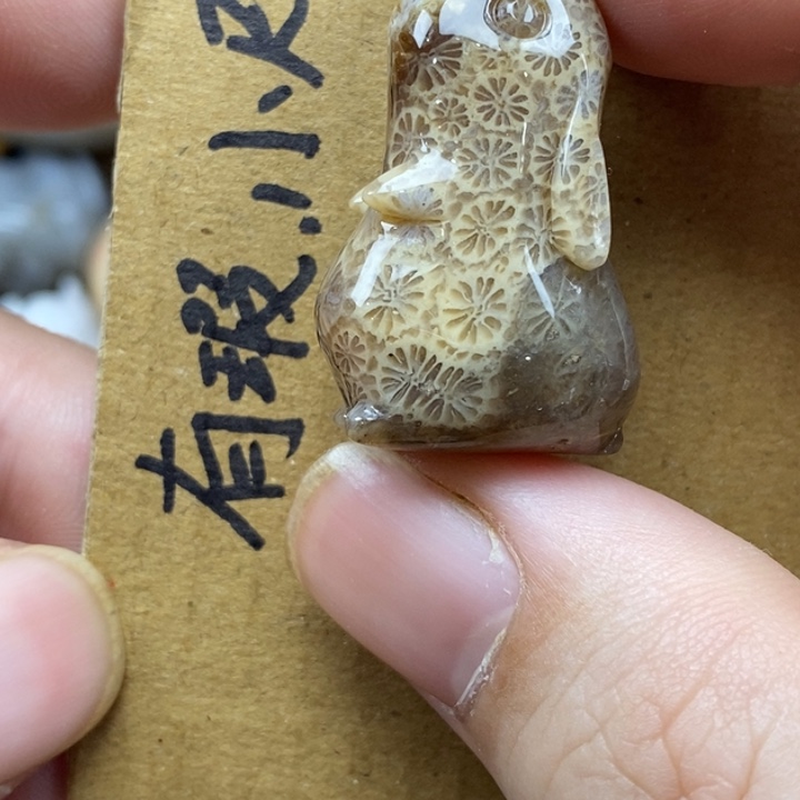 硅化珊瑚（珊瑚玉）未镶嵌颈饰
