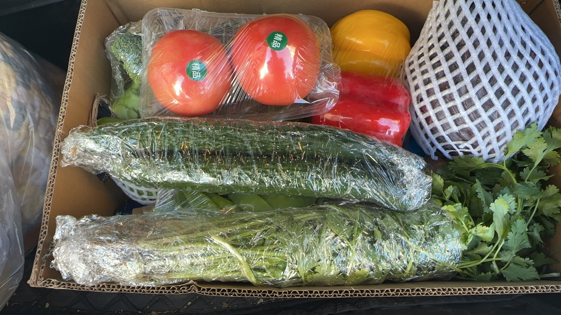 新年蔬菜大礼包 15种菜