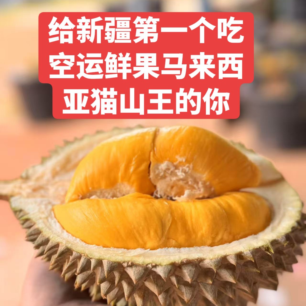 新鲜空运马来西亚黑刺/猫山王D197一果一重核小个别偏大颜色黄奶香甜回甘微苦是特色现称现拍猫山王马来西亚