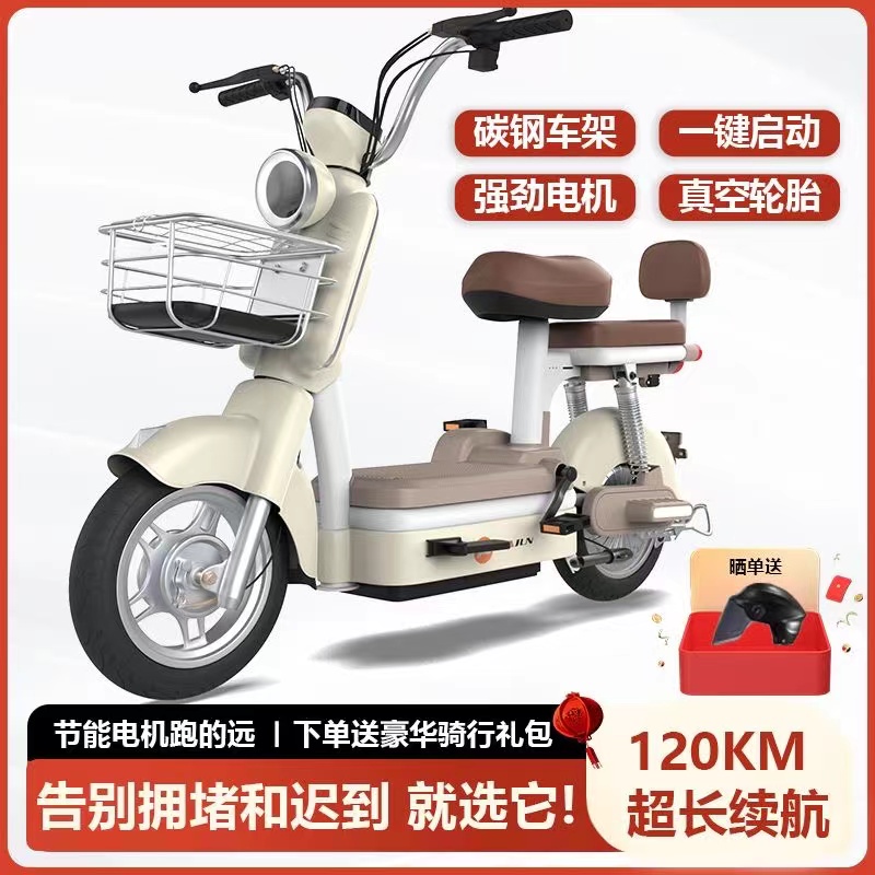 ZF摩登新国标电动自行车男女代步通用