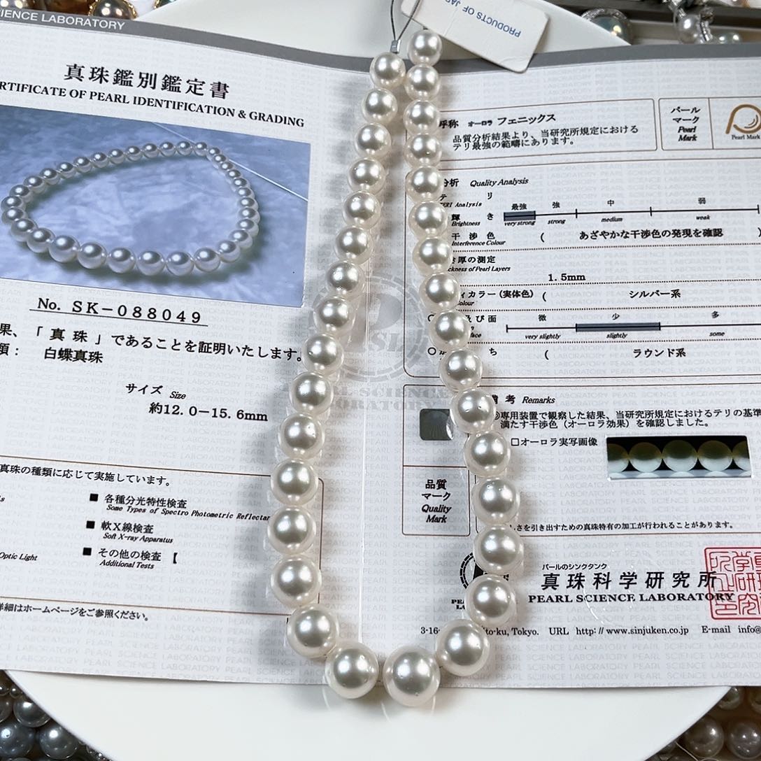 海水珍珠颈饰未镶嵌澳白凤凰12-15.6sk