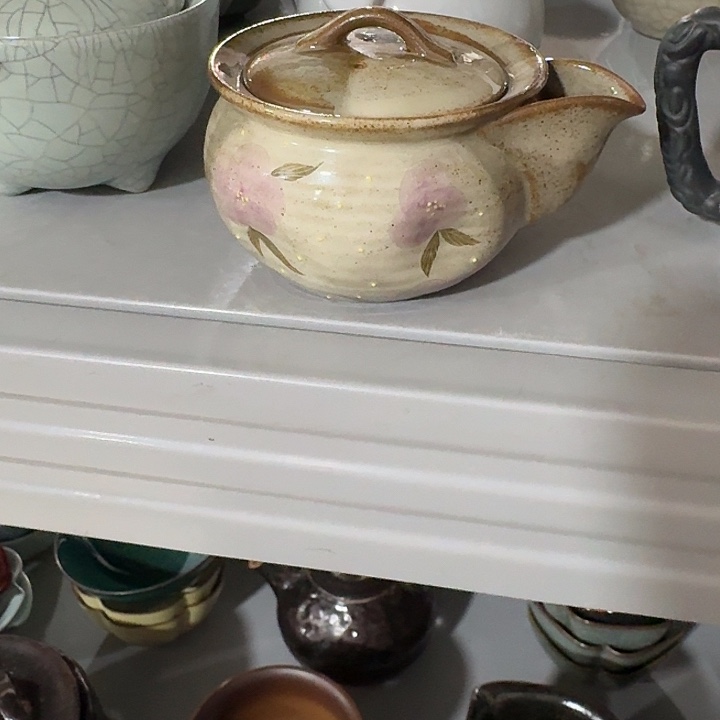 主人杯一个，爱。。品茗