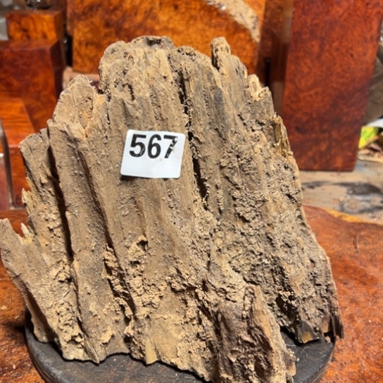 博***兰大果紫檀（缅甸花梨）