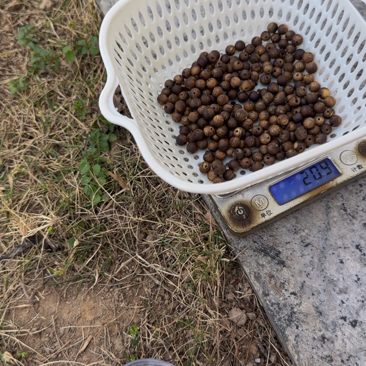 l***i线香20克0.6圈珠，