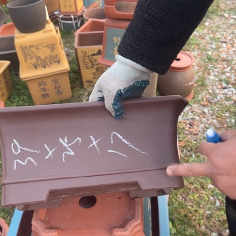 红陶紫砂花盆盆景盆栽