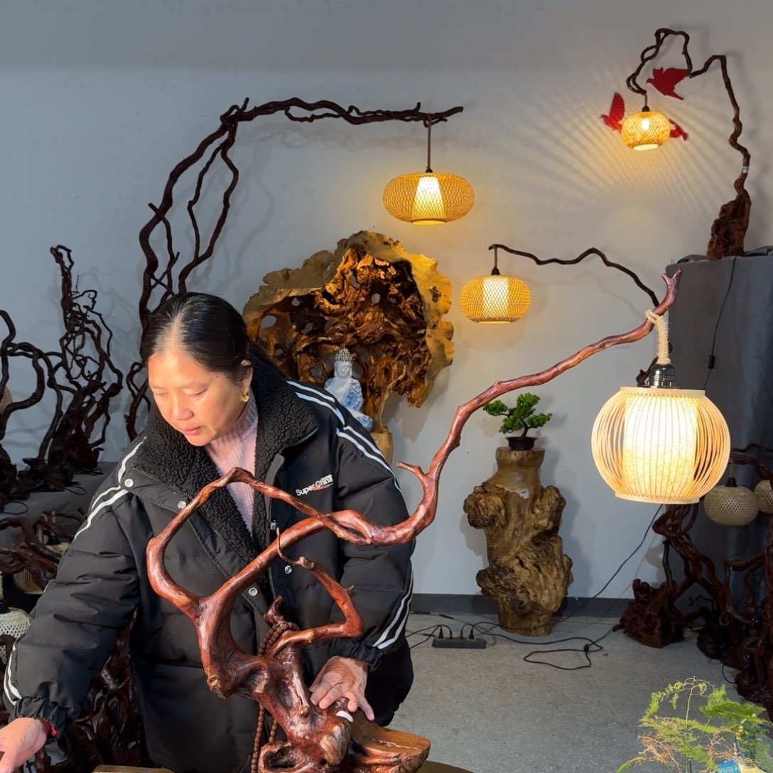 香榧木杜娟根台灯6666