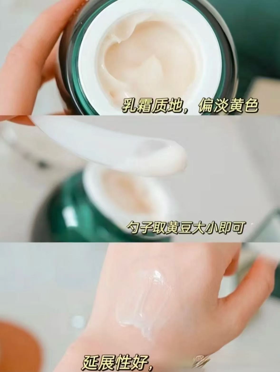 0250绿宝瓶面霜霜（预）