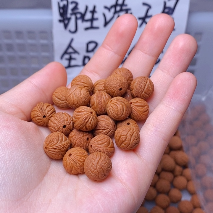 手串桃核野生满天星 11mm左右 20颗 （打孔）