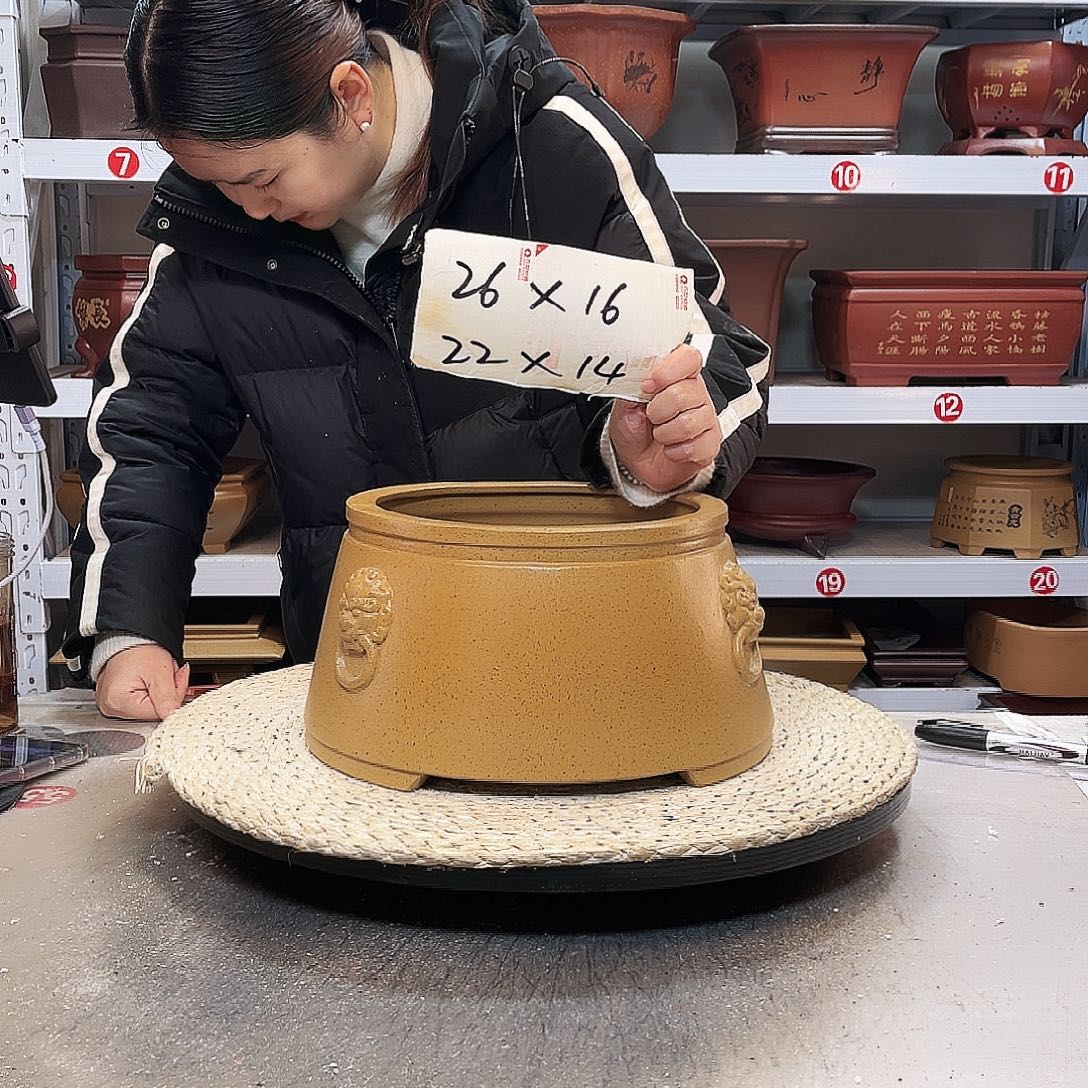 花盆红泥紫砂花盆里