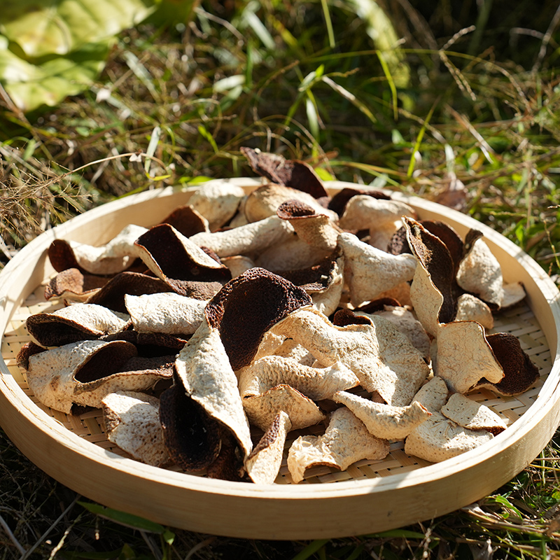 【收藏级大红】2023年新会大红狗楠陈皮 柑新鲜甜自家果园生晒整皮