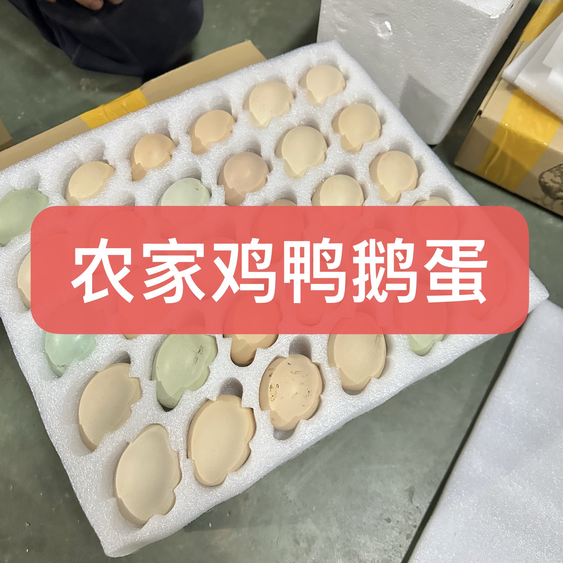 农家土鸡蛋粮食鸡蛋鹅蛋