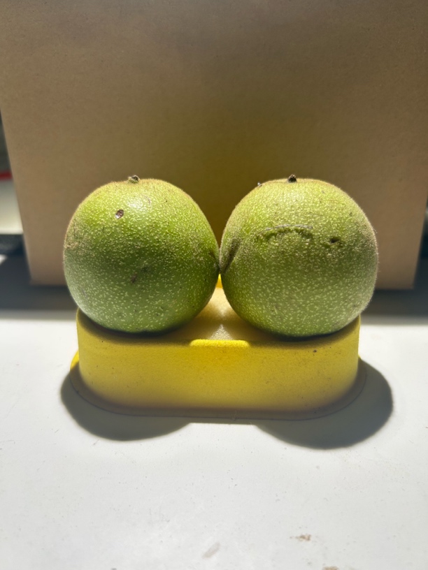 文玩核桃青皮官帽四座楼狮子头元宝蛤蟆头手把件