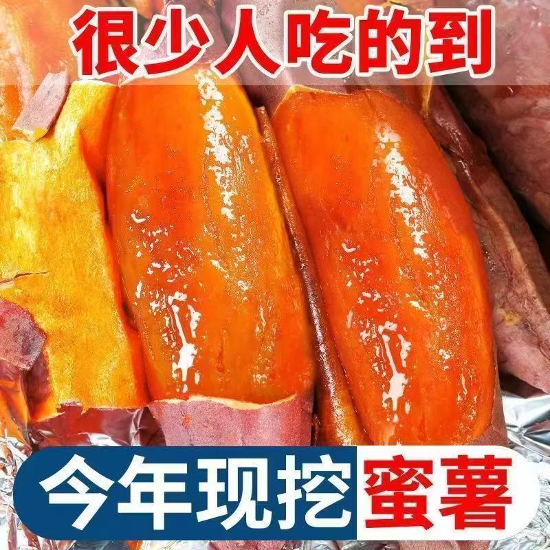 山东烟薯25号糖心蜜薯新鲜现挖软糯香甜适合烤着吃
