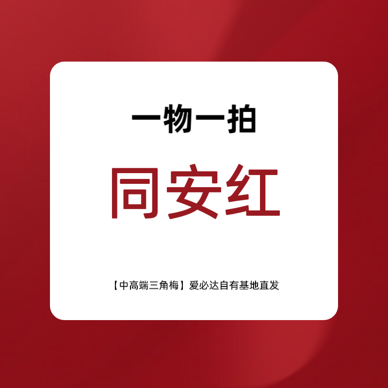 三角梅盆花-同安红