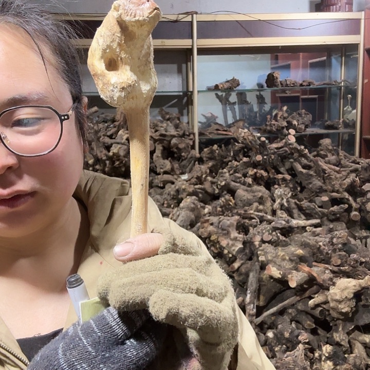 香榧木李**?火琉璃的故事毛料摆件