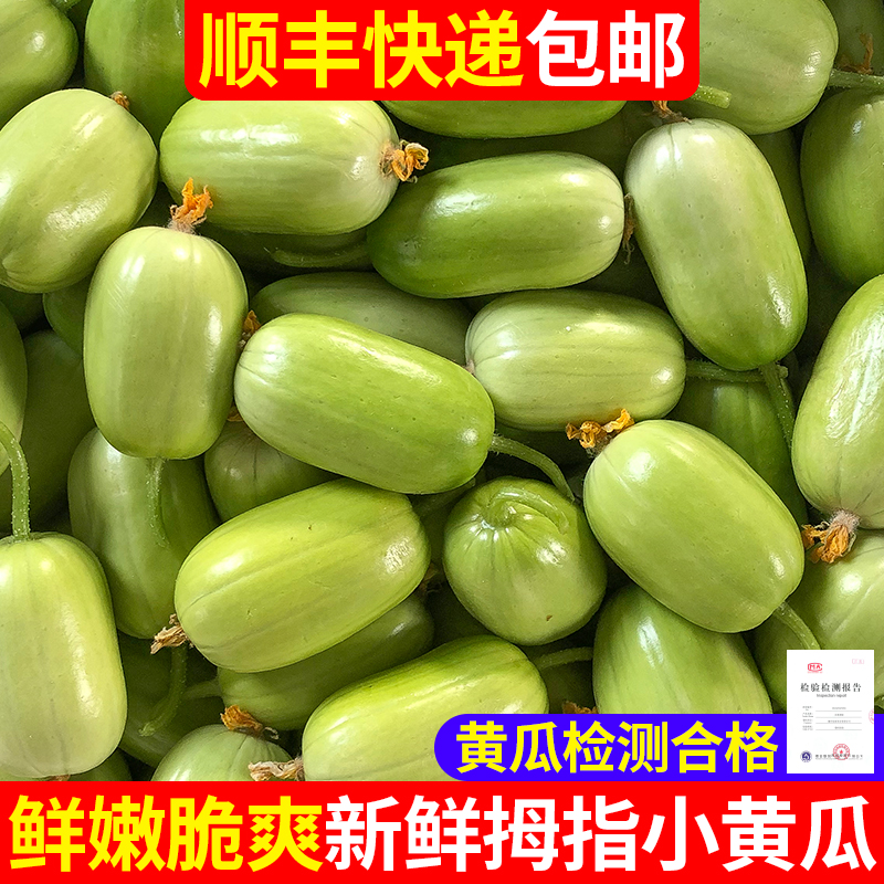 5斤鲜嫩玉女黄瓜生拇指黄瓜寿光金童白玉苹果芭乐东北旱农产3斤