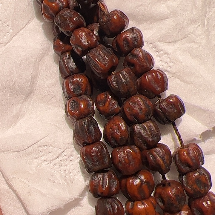 香榧木在这里的人