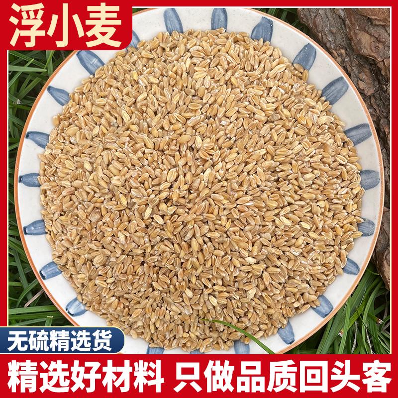 浮小麦浮麦子止汗盗汗小麦瘪子浮水麦瘪小麦天然包邮500g克