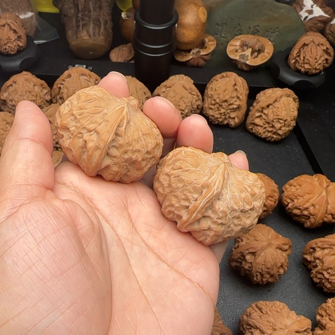 43尺全品无修矮桩南瓜