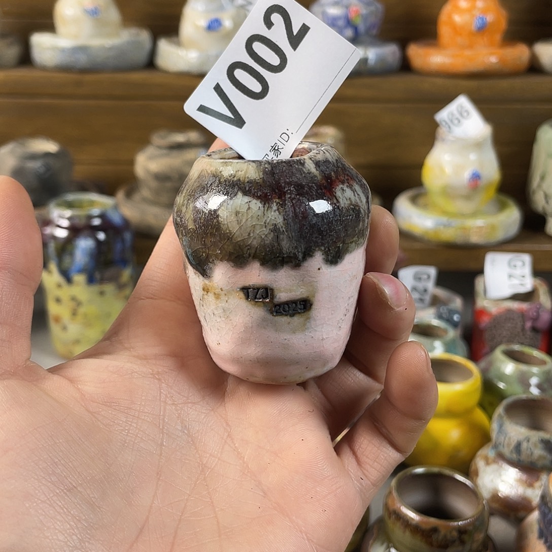 坛子姐多肉花盆内口2.5