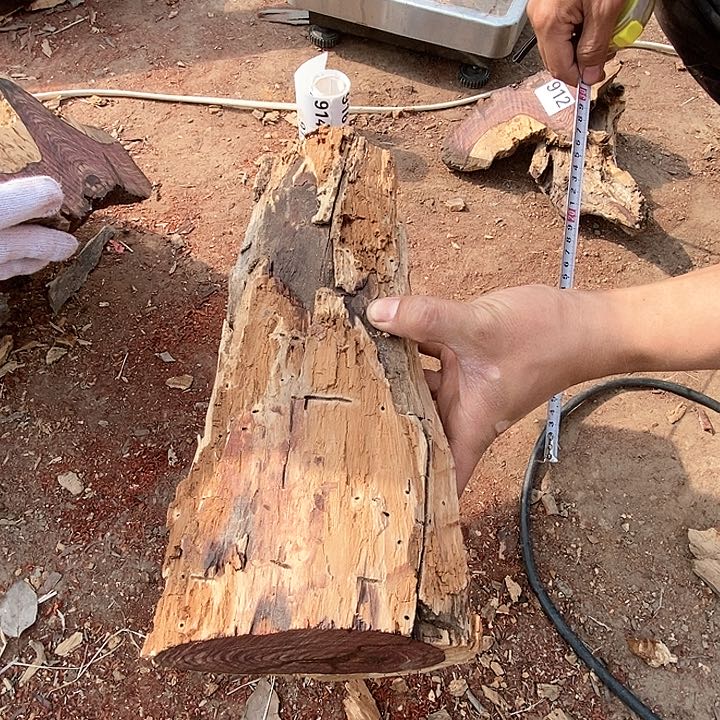 微凹黄檀（南美大红酸枝）913