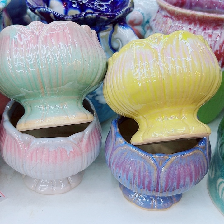 多肉植物陶瓷花盆