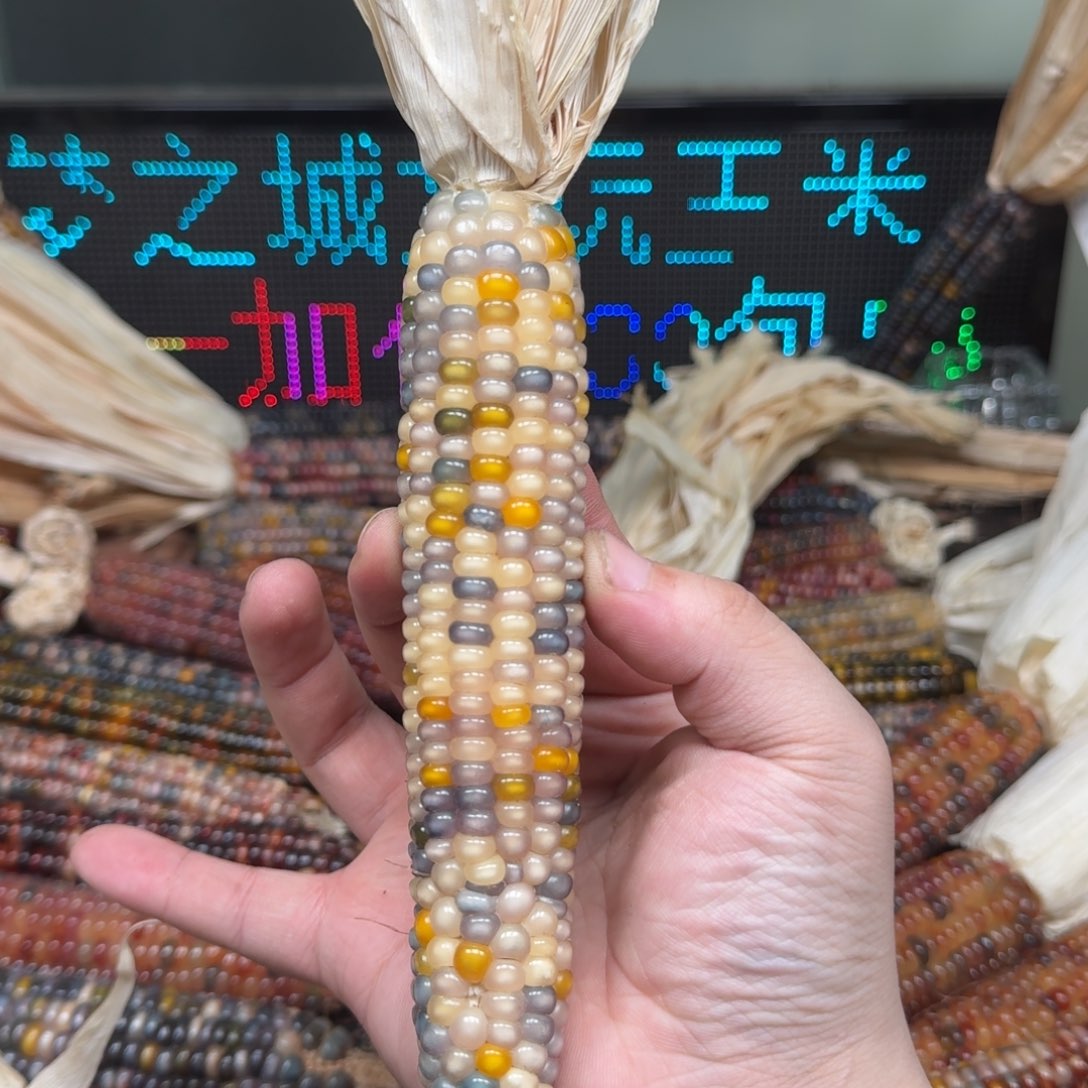 柏香籽/百香籽吊坠吱****稀