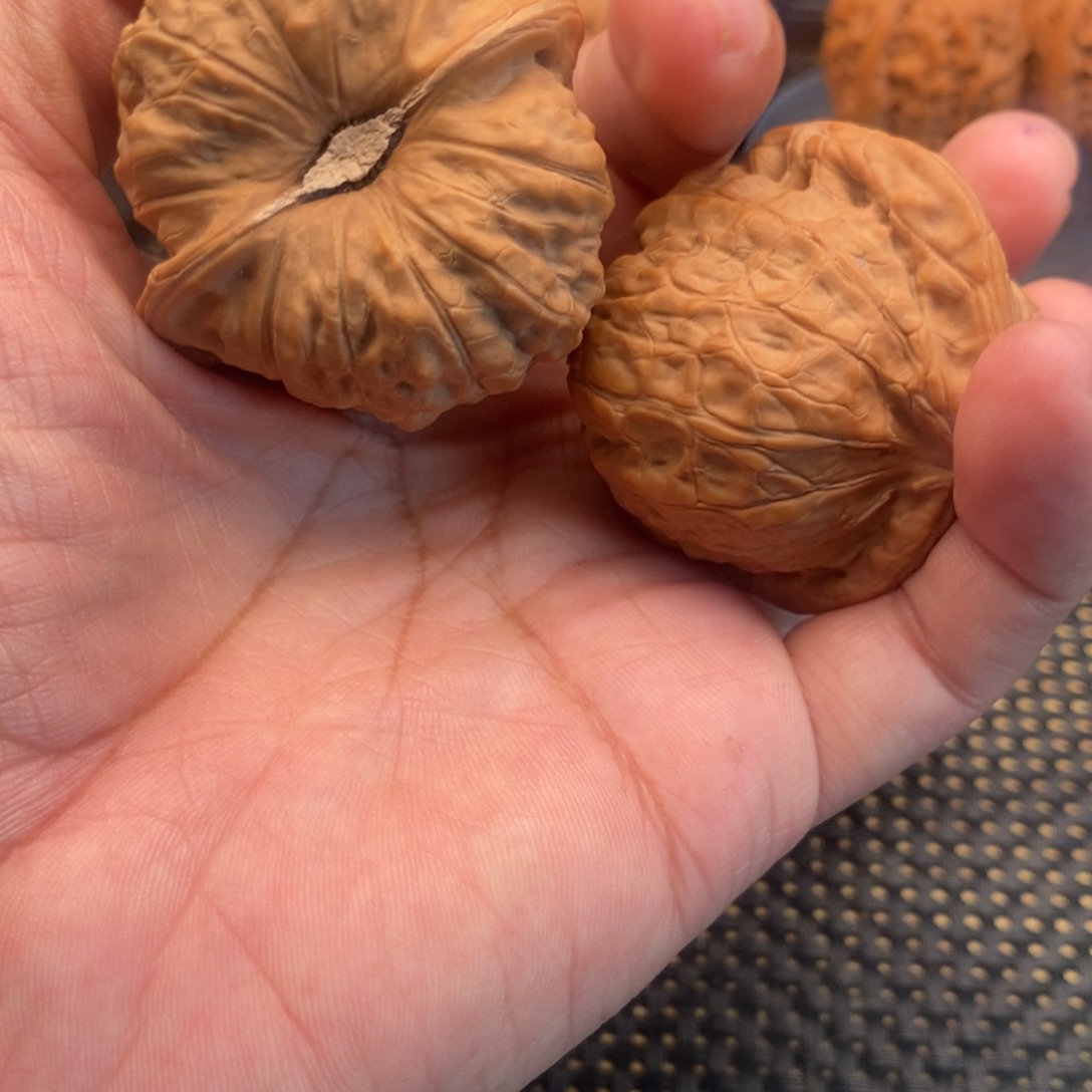 盘***）大叶紫檀（黑酸枝木类）南瓜