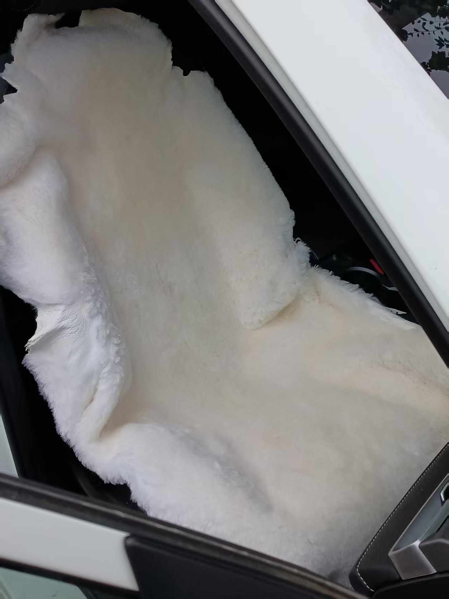 整张羊剪绒绵羊皮 可用做沙发垫汽车坐垫飘窗垫地垫服装服饰