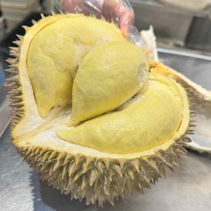 【双A级泰国树熟金枕】新鲜榴莲特价果核小500g 不包售后，介意勿拍榴莲同城送金枕泰国