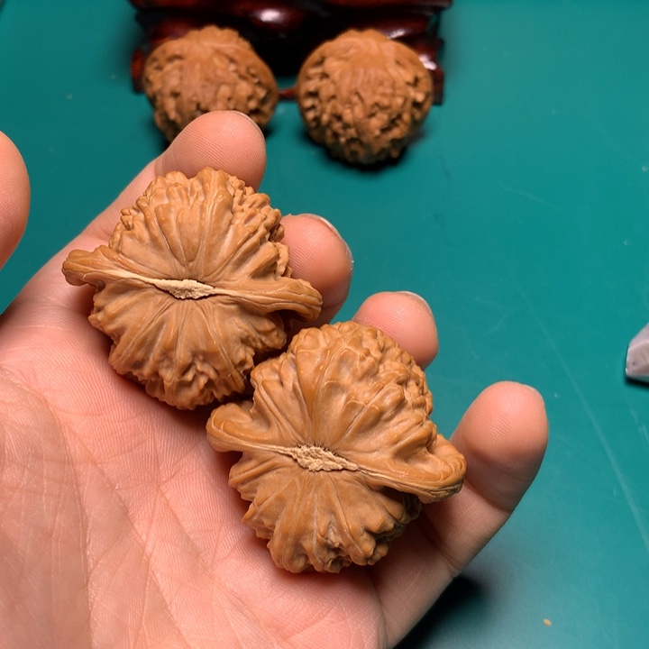 把件文玩核桃山白狮子